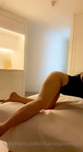 15901156
