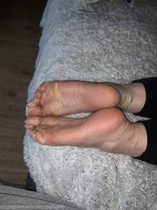 16170456