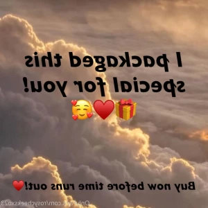 14961351
