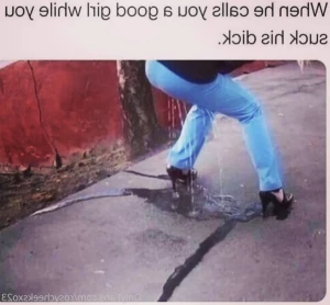 15504565