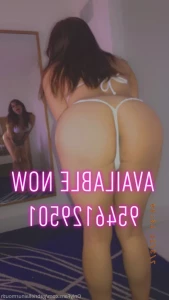 16347338