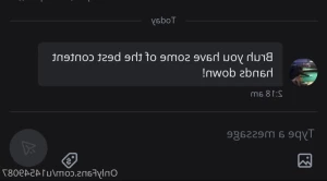 15606493