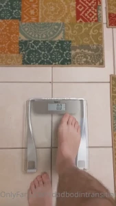 16241366