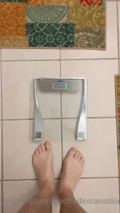 16241383