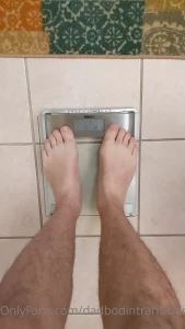 16241417