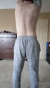 16241439