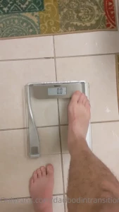 16241450