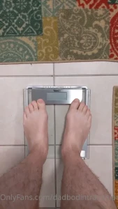 16241488