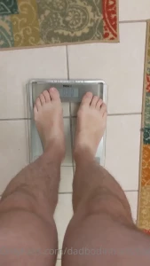 16241550