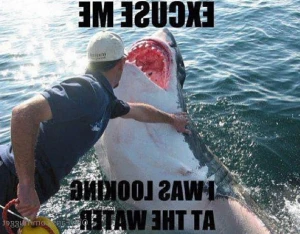 14049387