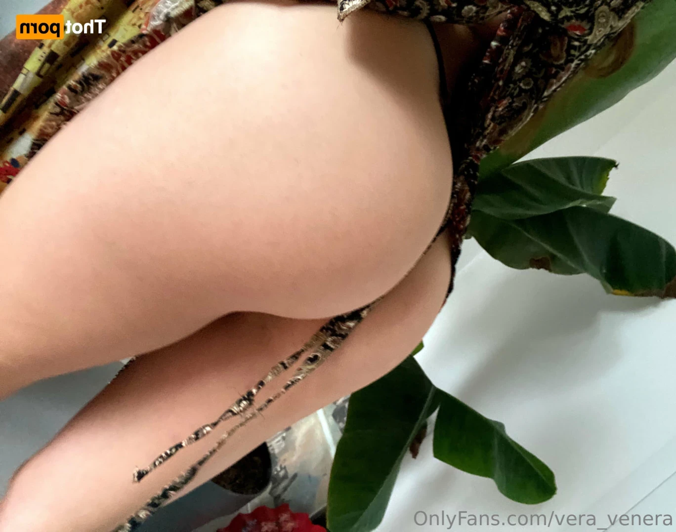 Vera 👠 pole dancer [ vera_venera ] Onlyfans leaked photo 11971472 on Hotleaks.tv