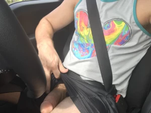 15630295