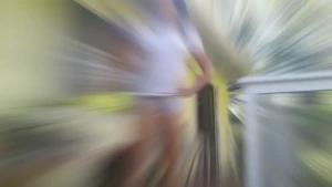 16006047