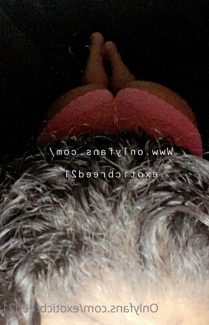 Precious J Baby🩷 [ exoticbreed21 ] Onlyfans leaked photo 16368442 on Hotleaks.tv