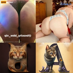 15643320