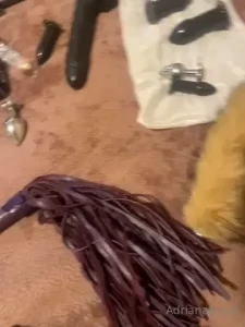 16305337