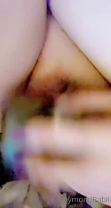 16052224