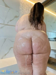 12026526