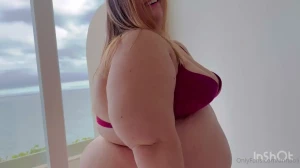 16024258