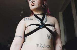 15518627