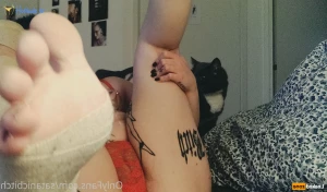 15608510