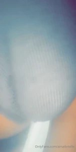 15123797