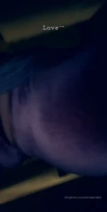 16069031