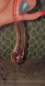 belleshoneypot Onlyfans leaked video 14835255 on Hotleaks.tv