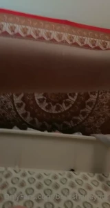 15577804
