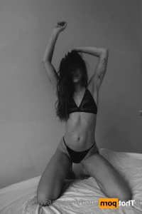 15623041