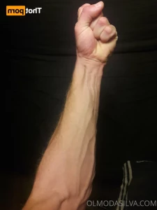 16293132
