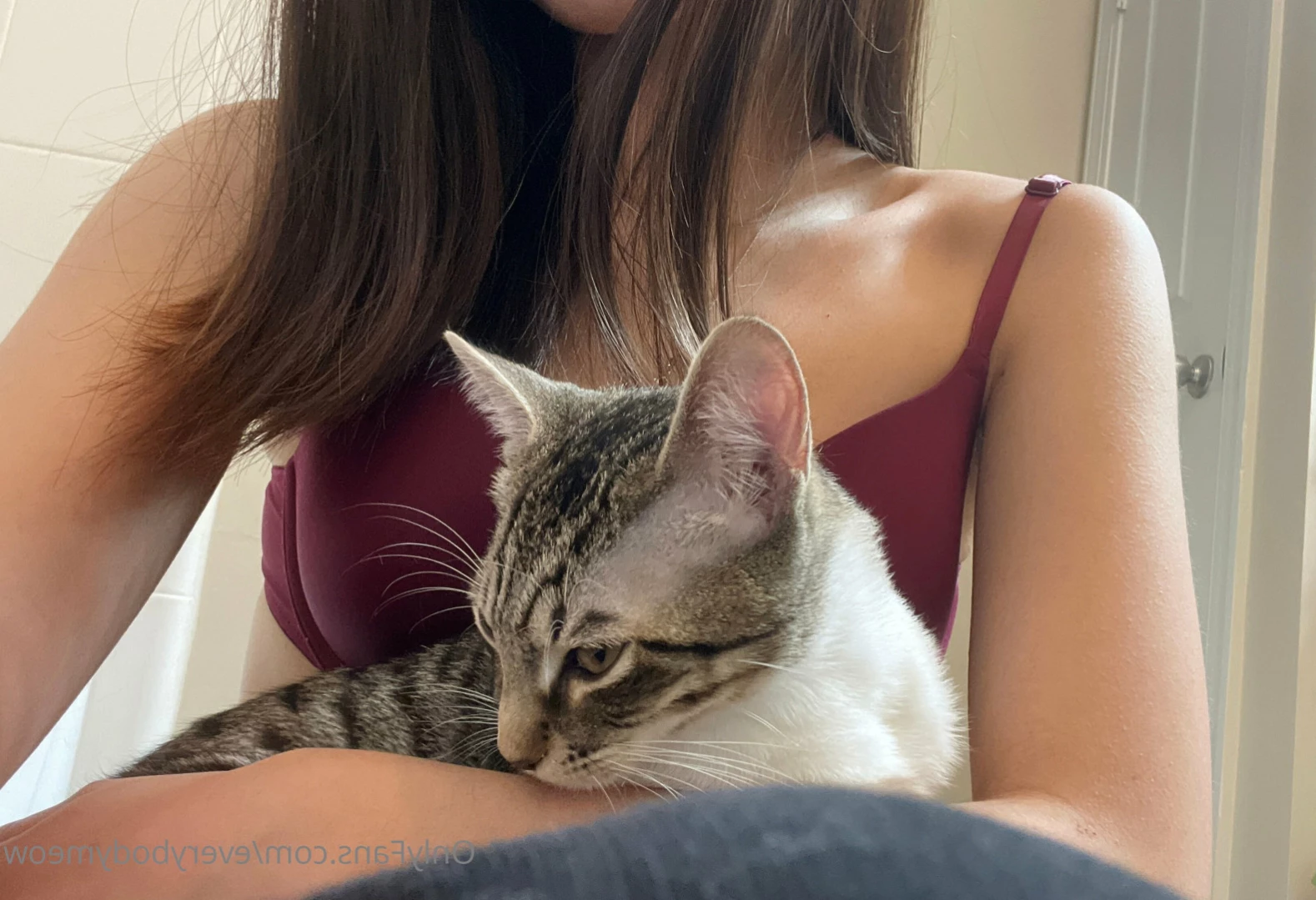 Everybody Meow [ everybodymeow ] Onlyfans leaked photo 13645474 on Hotleaks.tv