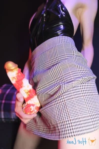 13556613