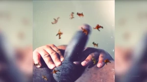 giantsolecrusher Onlyfans leaked video 11831734 on Hotleaks.tv