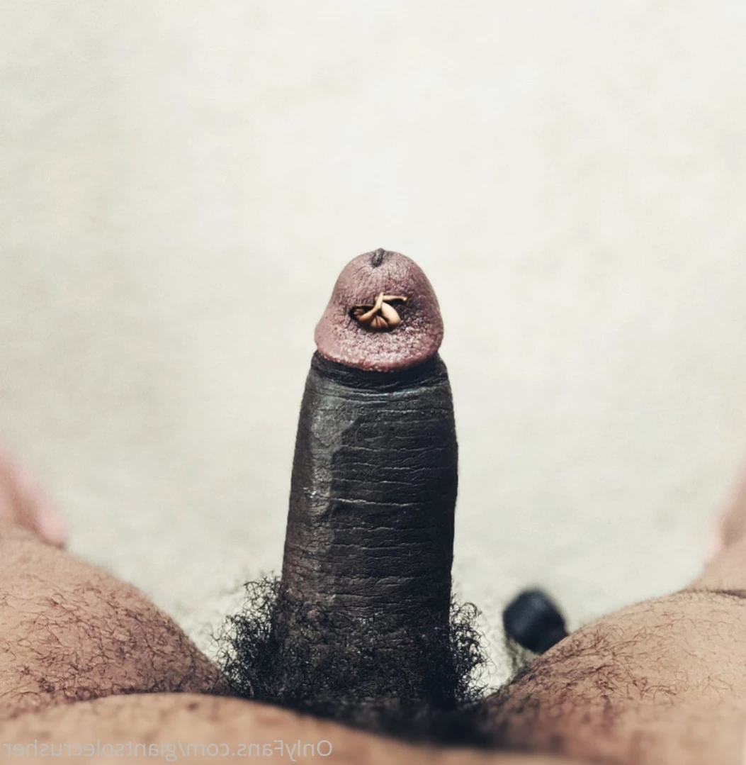 giantsolecrusher Onlyfans leaked photo 13789478 on Hotleaks.tv