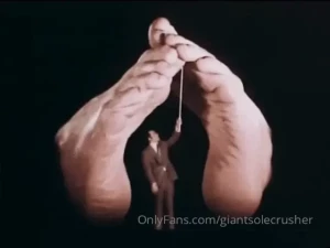 13790796
