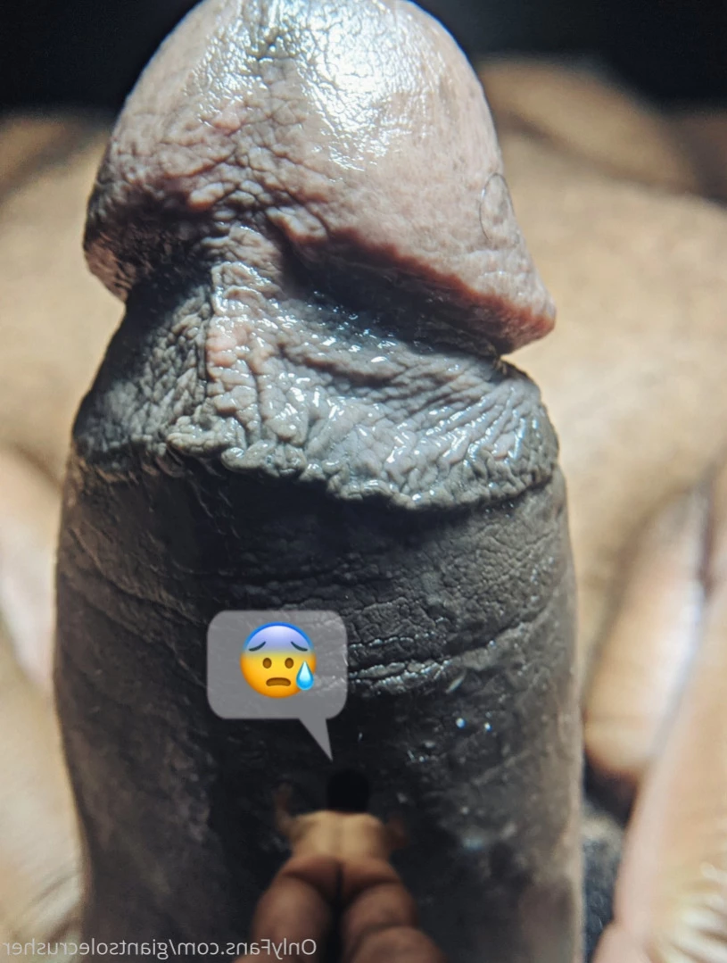 giantsolecrusher Onlyfans leaked photo 15467393 on Hotleaks.tv
