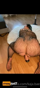 11862703