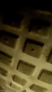 15594145