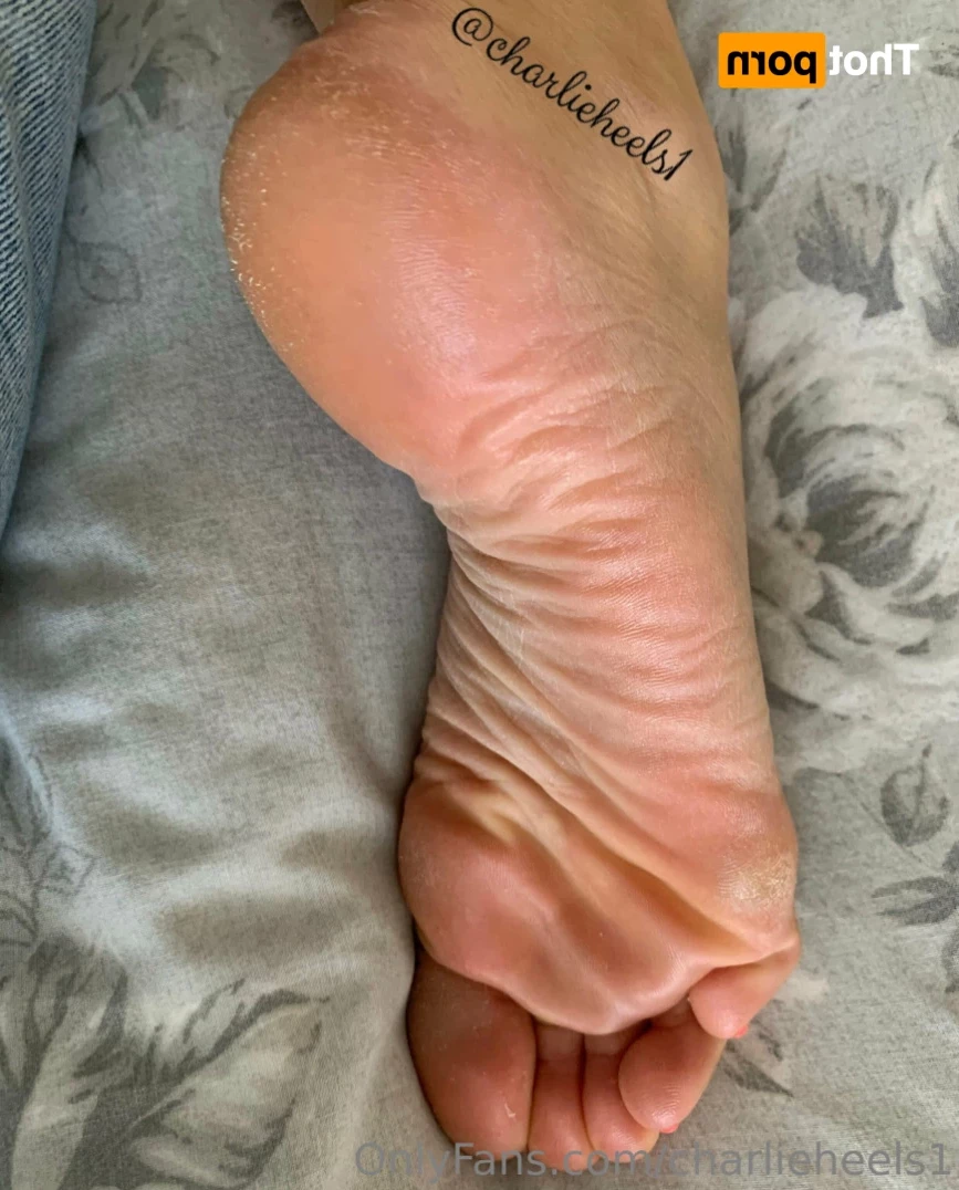 charlieheels1 Onlyfans leaked photo 13401977 on Hotleaks.tv