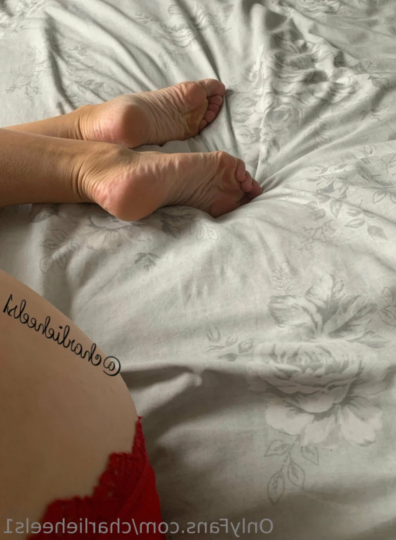 charlieheels1 Onlyfans leaked photo 13402508 on Hotleaks.tv