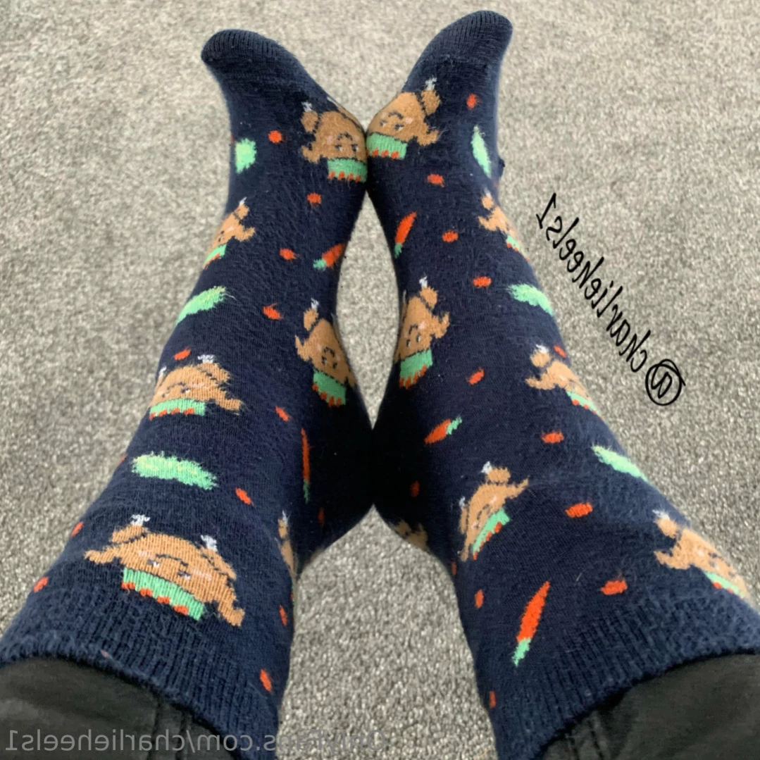 charlieheels1 Onlyfans leaked photo 14816099 on Hotleaks.tv