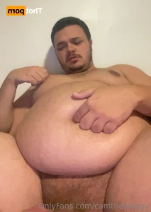 16118787
