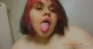 15087504
