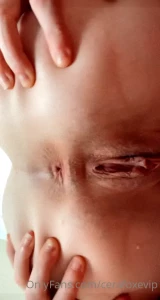 cerafoxevip Onlyfans leaked video 13408686 on Hotleaks.tv