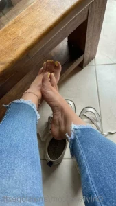 15441361