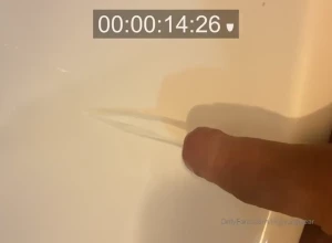 15572019