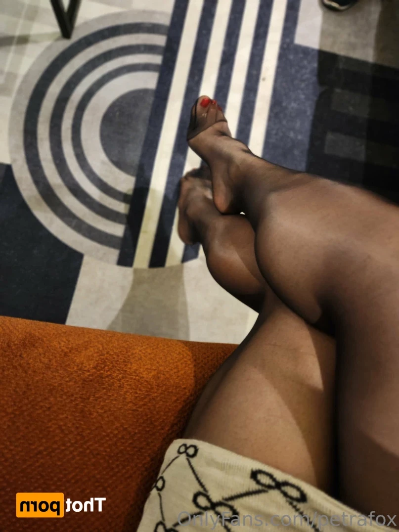 petrafox Onlyfans leaked photo 12297775 on Hotleaks.tv