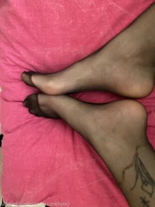 16403518