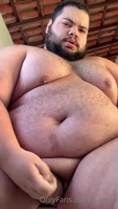 13725683